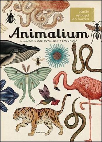 Animalium