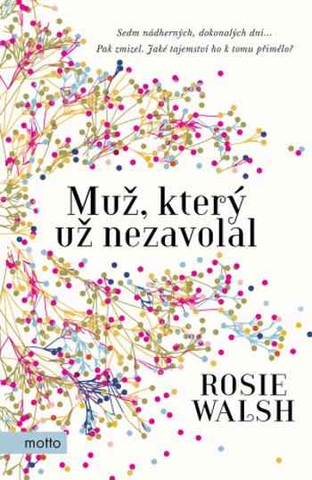 Muž, který už nezavolal - Rosie Walsh - e-kniha