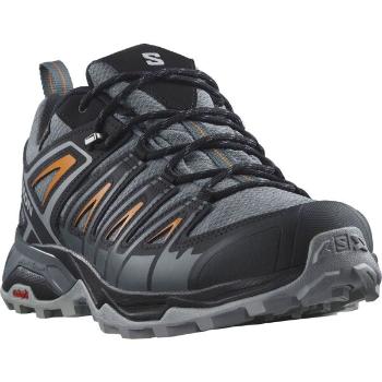 Salomon X ULTRA PIONEER GTX Pánská turistická obuv, šedá, velikost 46