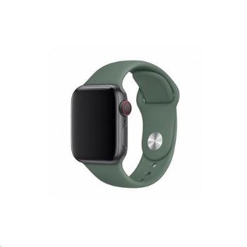 Coteetci silikonový sportovní náramek pro Apple watch 38 / 40 mm jehličnatá zelená CS2085-GN