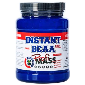 Profimass Profi BCAA Instant borůvka 550 g