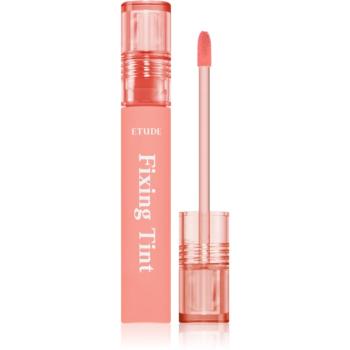 ETUDE Fixing Tint dlouhotrvající rtěnka s matným efektem odstín #03 Mellow Peach 4 g