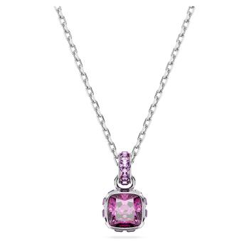 Swarovski Slušivý náhrdelník pro ženy narozené v únoru Birthstone 5651708