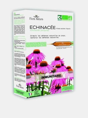 Echinacea BIO Flora Natura (20 x 15 ml)