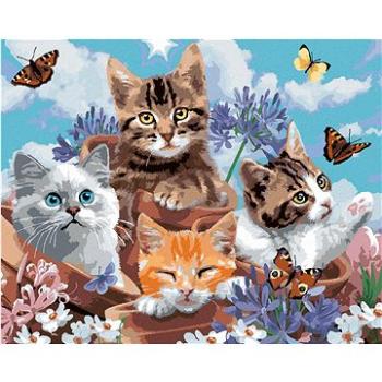 Malování podle čísel - Kočky v květináčích a motýlci (Howard Robinson) (HRAbz33482nad)