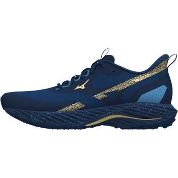 Mizuno WAVE RIDER TT 2 Pánská běžecká obuv, modrá, velikost 47