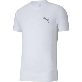 Puma EVOSTRIPE  TEE Pánské sportovní triko, bílá, velikost L