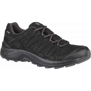 Salomon XA TICAO GTX Pánská hikingová obuv, černá, velikost 41 1/3