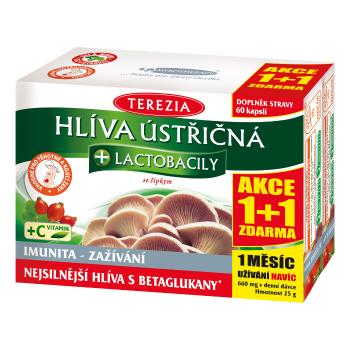 Hlíva ústřičná + lactobacily