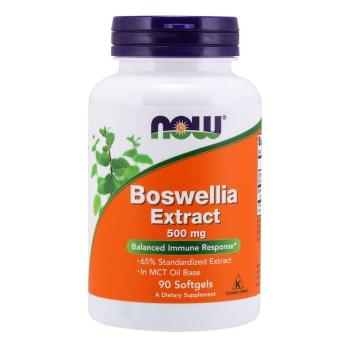 Boswellia Extract 500 mg 90 kaps. - NOW Foods