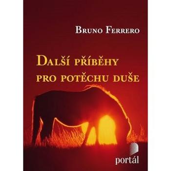 Další příběhy pro potěchu duše (978-80-262-0207-3)