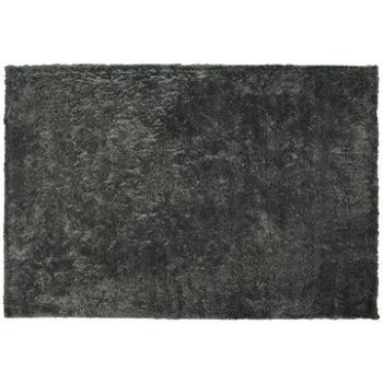 Koberec shaggy 200 x 300 cm tmavě šedý EVREN, 186355 (beliani_186355)