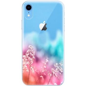 iSaprio Rainbow Grass pro iPhone Xr (raigra-TPU2-iXR)