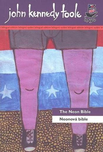 Neonová bible/ The Neon Bible - Toole John Kennedy
