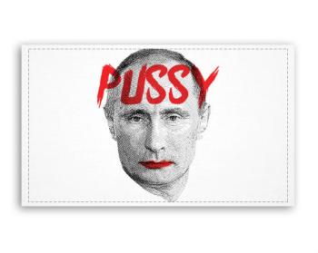 Fotoobraz 120x70 cm velký Pussy Putin