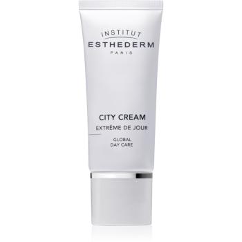 Institut Esthederm City Cream Global Day Care ochranný denní krém proti negativnímu působení vnějších vlivů 30 ml