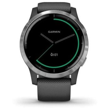 Garmin Vívoactive 4 Silver Gray (010-02174-03)