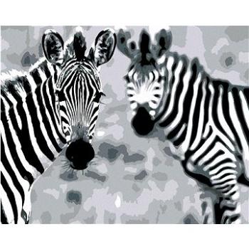 Malování podle čísel - Pruhované zebry (HRAmal01025nad)