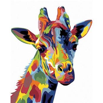 Malování podle čísel - Barevná žirafa (HRAmal00657nad)