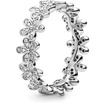 PANDORA Garden 190934CZ-52 (Ag925/1000, 2,6 g) (5700302317060)