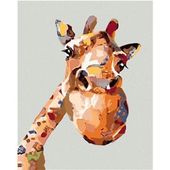 Malování podle čísel - Malovaná žirafa (HRAmal00915nad)