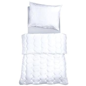 SCANquilt přikrývka COMFORT COTTON PLUS AB/AM (34743)