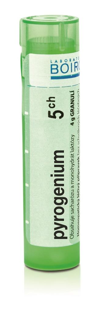 Boiron PYROGENIUM CH5 granule 4 g