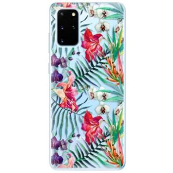 iSaprio Flower Pattern 03 pro Samsung Galaxy S20+ (flopat03-TPU2_S20p)