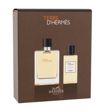 Toaletní voda Hermes - Terre d´Hermes 100 ml , 100ml