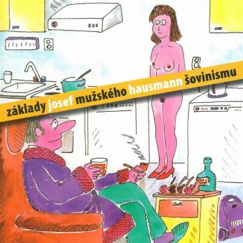 Základy mužského šovinismu (CD) - audiokniha