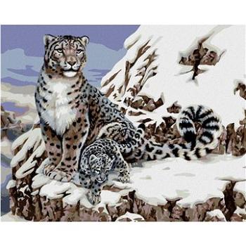 Malování podle čísel - Levhart sněžný s mládětem (Howard Robinson) (HRAbz33378nad)