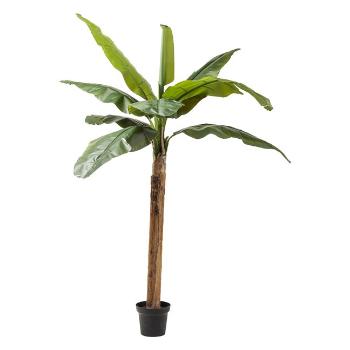 Sada 2 ks – Dekorativní předmět Plant Banana Tree 190 cm