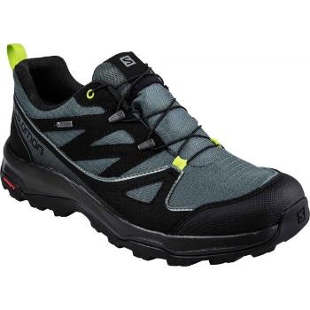 Salomon TONEO GTX Pánská hikingová obuv, tmavě zelená, velikost 44