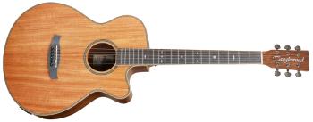 Tanglewood TRSF CE BW