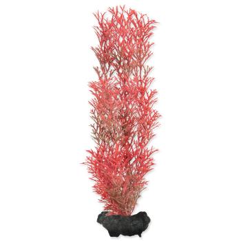 Rostlina Tetra Foxtail Red M 23cm