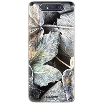 iSaprio Old Leaves 01 pro Samsung Galaxy A80 (oldle01-TPU2_GalA80)