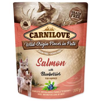 Kapsička CARNILOVE Puppy Paté Salmon with Blueberries 300 g