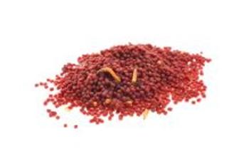 Zfish Method Feeder Ready Mix 600g - Robin Red