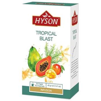 Hyson Tropical Blast, ovocný čaj (20 sáčků) (H013016)