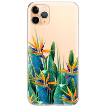iSaprio Exotic Flowers pro iPhone 11 Pro Max (exoflo-TPU2_i11pMax)