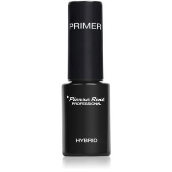 Pierre René Nails Hybrid přípravek k odmaštění a vysušení nehtu 6 ml