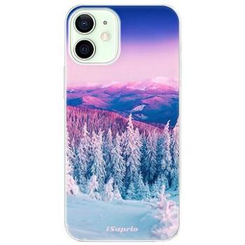 iSaprio Winter 01 pro iPhone 12 (winter01-TPU3-i12)