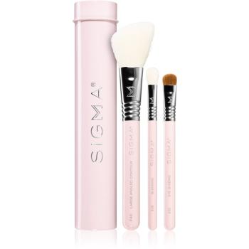 Sigma Beauty Essential Trio Brush Set sada štětců s pouzdrem