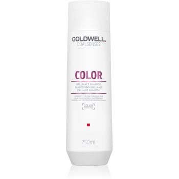 Goldwell Dualsenses Color šampon pro ochranu barvených vlasů 250 ml