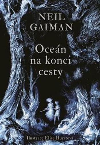Oceán na konci cesty - Gaiman Neil