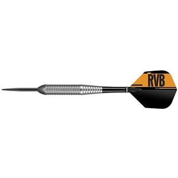 Šipky Target steel Raymond van Barneveld 21g RVB, BRASS (14040)