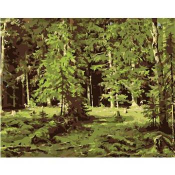 Diamondi - Diamantové malování - LES (IVAN SHISHKIN), 40x50 cm, Vypnuté plátno na rám (605911B)