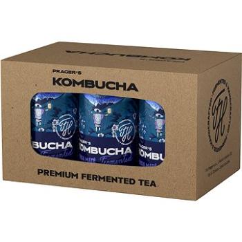 Prager's Kombucha Yerba Maté 6× 0,33l (8595231216471)