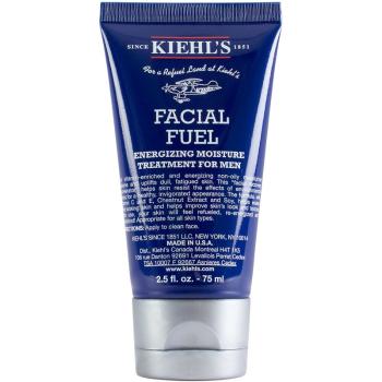 Kiehl's Men Facial Fuel denní hydratační krém s vitaminem C pro muže 75 ml
