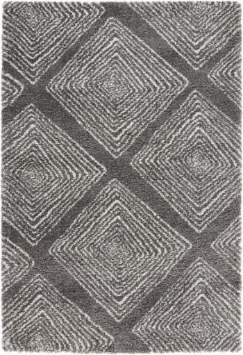 Mint Rugs - Hanse Home koberce Kusový koberec Allure 102763 grau creme - 80x150 cm Šedá